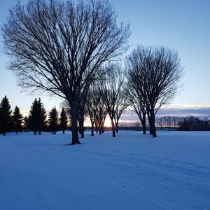 Meet your Posher, Carmen